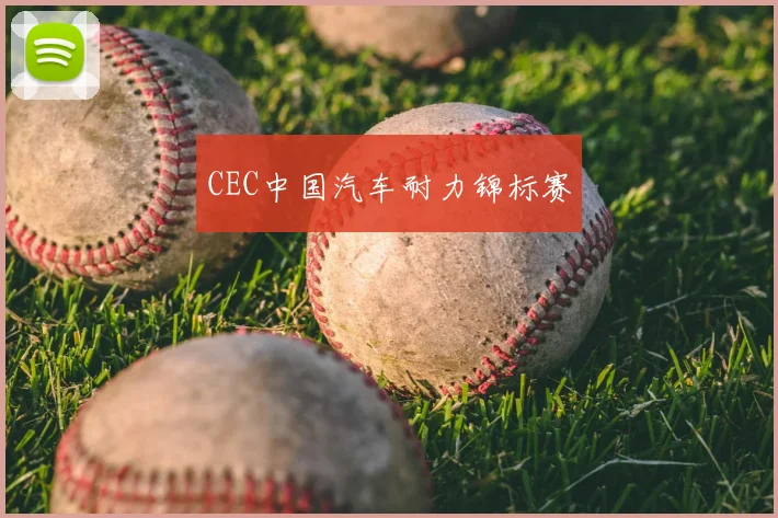 CEC中国汽车耐力锦标赛