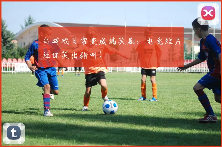 当游戏日常变成搞笑剧，电竞短片让你笑出猪叫！