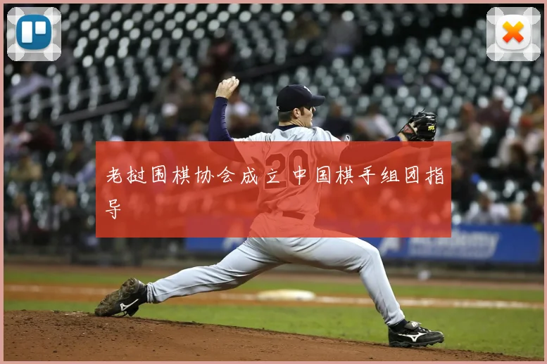 老挝围棋协会成立 中国棋手组团指导
