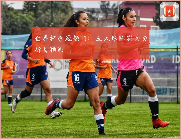 世界杯夺冠热门：五大球队实力分析与预测