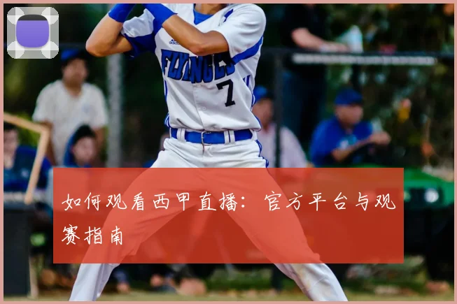如何观看西甲直播：官方平台与观赛指南